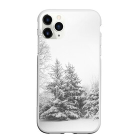 Чехол для iPhone 11 Pro Max матовый с принтом Winter Storm в Петрозаводске, Силикон |  | winter | белый | деревья | ели | ель | заснеженный | зима | зимний | искусство | лес | природа | снег | снежная | текстура | текстуры | шторм