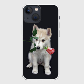 Чехол для iPhone 13 mini с принтом Щенок в подарок в Петрозаводске,  |  | 8 марта щенок | husky | siberian husky | белый щенок | лайка | собака на день рождения | собака с розой | собака с цветком | хаски | щенок | щенок 8 марта | щенок лайки | щенок на 8 марта | щенок на день рождения