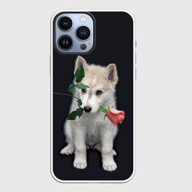 Чехол для iPhone 13 Pro Max с принтом Щенок в подарок в Петрозаводске,  |  | Тематика изображения на принте: 8 марта щенок | husky | siberian husky | белый щенок | лайка | собака на день рождения | собака с розой | собака с цветком | хаски | щенок | щенок 8 марта | щенок лайки | щенок на 8 марта | щенок на день рождения
