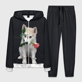 Мужской костюм 3D с принтом Щенок в подарок в Петрозаводске, 100% полиэстер | Манжеты и пояс оформлены тканевой резинкой, двухслойный капюшон со шнурком для регулировки, карманы спереди | 8 марта щенок | husky | siberian husky | белый щенок | лайка | собака на день рождения | собака с розой | собака с цветком | хаски | щенок | щенок 8 марта | щенок лайки | щенок на 8 марта | щенок на день рождения