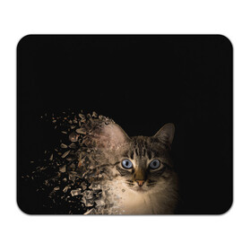 Коврик для мышки прямоугольный с принтом Disintegrating Cat в Петрозаводске, натуральный каучук | размер 230 х 185 мм; запечатка лицевой стороны | cat | азулес | атомный кот | голубоглазая кошка | голубоглазый кот | голубоглазый котик | кот | кот к | кот распадающийся на атомы | кот с голубыми глазами | котик | котэ | кошак | кошачий портрет