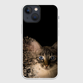 Чехол для iPhone 13 mini с принтом Disintegrating Cat в Петрозаводске,  |  | cat | азулес | атомный кот | голубоглазая кошка | голубоглазый кот | голубоглазый котик | кот | кот к | кот распадающийся на атомы | кот с голубыми глазами | котик | котэ | кошак | кошачий портрет