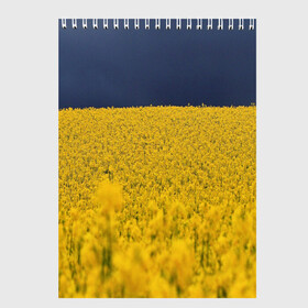Скетчбук с принтом Рапсовое поле в Петрозаводске, 100% бумага
 | 48 листов, плотность листов — 100 г/м2, плотность картонной обложки — 250 г/м2. Листы скреплены сверху удобной пружинной спиралью | Тематика изображения на принте: rappsfeld | жёлтые | жёлтый | небеса | небесный | небо | поле | поля | природа | природные | природный | рапсовое | растение | растения | синие | синий | украина | украинский