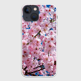Чехол для iPhone 13 mini с принтом Цветущая Сакура в Петрозаводске,  |  | 8 марта | весна | вишня | женский день | лепестки | март | поздравления | праздник 8 марта | ромашки | сакура | цветок | цветочки | цветы | япония