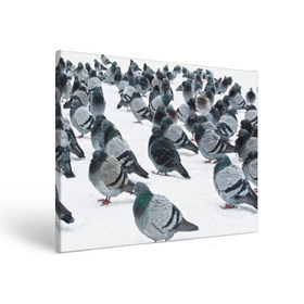 Холст прямоугольный с принтом Голуби в Петрозаводске, 100% ПВХ |  | bird | pigeon | russia | snow | winter | голубь | животные | зима | курлык | птицы | россия | снег | текстура | фон | фотография