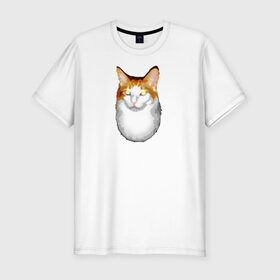 Мужская футболка премиум с принтом ГНЕГ в Петрозаводске, 92% хлопок, 8% лайкра | приталенный силуэт, круглый вырез ворота, длина до линии бедра, короткий рукав | гнег | ирония | котэ | мем | мемы про котов | мета | постирония | прикол | ржака