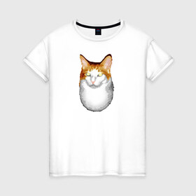 Женская футболка хлопок с принтом ГНЕГ в Петрозаводске, 100% хлопок | прямой крой, круглый вырез горловины, длина до линии бедер, слегка спущенное плечо | гнег | ирония | котэ | мем | мемы про котов | мета | постирония | прикол | ржака