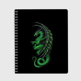 Тетрадь с принтом Green Dragon в Петрозаводске, 100% бумага | 48 листов, плотность листов — 60 г/м2, плотность картонной обложки — 250 г/м2. Листы скреплены сбоку удобной пружинной спиралью. Уголки страниц и обложки скругленные. Цвет линий — светло-серый
 | Тематика изображения на принте: beast | dinosaur | dragon | fire | hunter | ice | monster | predator | reptile | динозавр | дракон | зверь | лед | ледяной | монстр | огненный | огонь | охотник | хищник