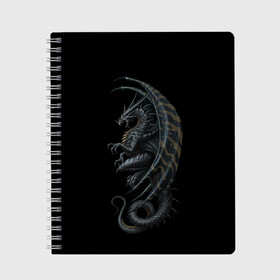 Тетрадь с принтом Black Dragon в Петрозаводске, 100% бумага | 48 листов, плотность листов — 60 г/м2, плотность картонной обложки — 250 г/м2. Листы скреплены сбоку удобной пружинной спиралью. Уголки страниц и обложки скругленные. Цвет линий — светло-серый
 | beast | dinosaur | dragon | fire | hunter | ice | monster | predator | reptile | динозавр | дракон | зверь | лед | ледяной | монстр | огненный | огонь | охотник | хищник