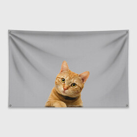 Флаг-баннер с принтом Рыжий котик в Петрозаводске, 100% полиэстер | размер 67 х 109 см, плотность ткани — 95 г/м2; по краям флага есть четыре люверса для крепления | baby | cat | kitty | глаза | голова | животные | зверь | кот | котенок | котики | кошки | лапы | малыш | полосатый | рыжий