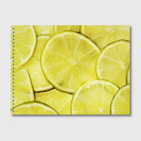 Альбом для рисования с принтом Лайм в Петрозаводске, 100% бумага
 | матовая бумага, плотность 200 мг. | дольки лайма | дольки лимона | лайм | лимон | текстуры | фрукты