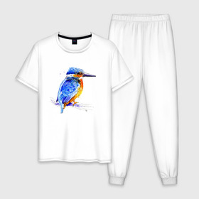 Мужская пижама хлопок с принтом Kingfisher в Петрозаводске, 100% хлопок | брюки и футболка прямого кроя, без карманов, на брюках мягкая резинка на поясе и по низу штанин
 | акварель | графика | зимородок | крутой | модный | принт | птица | птичка | рисунок | рыбак | рыболов | скетч | стильный | яркий