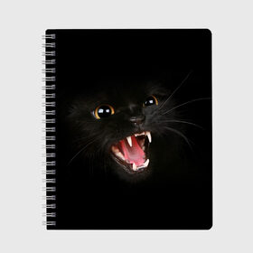 Тетрадь с принтом Злой Котик в Петрозаводске, 100% бумага | 48 листов, плотность листов — 60 г/м2, плотность картонной обложки — 250 г/м2. Листы скреплены сбоку удобной пружинной спиралью. Уголки страниц и обложки скругленные. Цвет линий — светло-серый
 | Тематика изображения на принте: angry | animal | animals | beast | black | cat | kitten | британец | британка | животное | животные | зверек | зверь | злая | злой | кот | котейка | котенок | котэ | кошка | кошки | черная