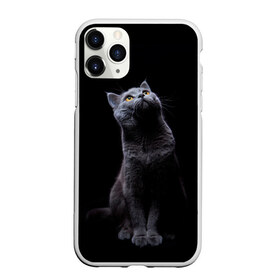 Чехол для iPhone 11 Pro Max матовый с принтом Кот Британец в Петрозаводске, Силикон |  | animal | animals | beast | black | cat | kitten | британец | британка | животное | животные | зверек | зверь | кот | котейка | котенок | котики | котэ | кошка | кошки | черная