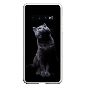 Чехол для Samsung Galaxy S10 с принтом Кот Британец в Петрозаводске, Силикон | Область печати: задняя сторона чехла, без боковых панелей | Тематика изображения на принте: animal | animals | beast | black | cat | kitten | британец | британка | животное | животные | зверек | зверь | кот | котейка | котенок | котики | котэ | кошка | кошки | черная