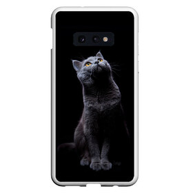 Чехол для Samsung S10E с принтом Кот Британец в Петрозаводске, Силикон | Область печати: задняя сторона чехла, без боковых панелей | Тематика изображения на принте: animal | animals | beast | black | cat | kitten | британец | британка | животное | животные | зверек | зверь | кот | котейка | котенок | котики | котэ | кошка | кошки | черная