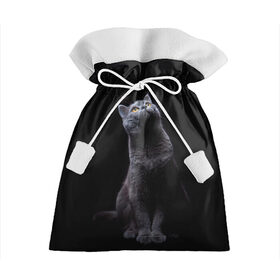 Подарочный 3D мешок с принтом Кот Британец в Петрозаводске, 100% полиэстер | Размер: 29*39 см | Тематика изображения на принте: animal | animals | beast | black | cat | kitten | британец | британка | животное | животные | зверек | зверь | кот | котейка | котенок | котики | котэ | кошка | кошки | черная