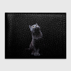 Обложка для студенческого билета с принтом Кот Британец в Петрозаводске, натуральная кожа | Размер: 11*8 см; Печать на всей внешней стороне | Тематика изображения на принте: animal | animals | beast | black | cat | kitten | британец | британка | животное | животные | зверек | зверь | кот | котейка | котенок | котики | котэ | кошка | кошки | черная