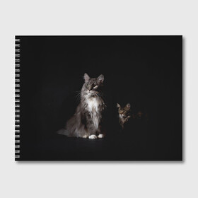 Альбом для рисования с принтом Котики в Петрозаводске, 100% бумага
 | матовая бумага, плотность 200 мг. | animal | animals | beast | black | cat | kitten | животное | животные | зверек | зверь | кот | котейка | котенок | котики | котэ | кошка | кошки | мейн кун | черная