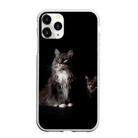 Чехол для iPhone 11 Pro матовый с принтом Котики в Петрозаводске, Силикон |  | animal | animals | beast | black | cat | kitten | животное | животные | зверек | зверь | кот | котейка | котенок | котики | котэ | кошка | кошки | мейн кун | черная