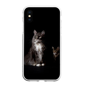 Чехол для iPhone XS Max матовый с принтом Котики в Петрозаводске, Силикон | Область печати: задняя сторона чехла, без боковых панелей | animal | animals | beast | black | cat | kitten | животное | животные | зверек | зверь | кот | котейка | котенок | котики | котэ | кошка | кошки | мейн кун | черная