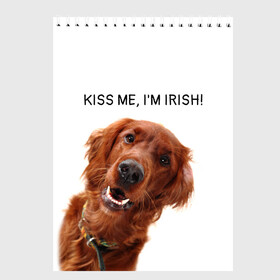 Скетчбук с принтом Ирландский сеттер в Петрозаводске, 100% бумага
 | 48 листов, плотность листов — 100 г/м2, плотность картонной обложки — 250 г/м2. Листы скреплены сверху удобной пружинной спиралью | irish | kiss me | kiss me im irish | ирландец | ирландия | ирландский | ирландский сеттер | красный сеттер | поцелуй меня я ирландец | рыжий сеттер | сеттер