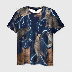Мужская футболка 3D с принтом Коты в Петрозаводске, 100% полиэфир | прямой крой, круглый вырез горловины, длина до линии бедер | город | животное | забавный | кот | молния