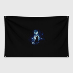 Флаг-баннер с принтом Кот в Петрозаводске, 100% полиэстер | размер 67 х 109 см, плотность ткани — 95 г/м2; по краям флага есть четыре люверса для крепления | звезды | кот | луна | ночь | силуэт