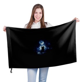 Флаг 3D с принтом Кот в Петрозаводске, 100% полиэстер | плотность ткани — 95 г/м2, размер — 67 х 109 см. Принт наносится с одной стороны | звезды | кот | луна | ночь | силуэт