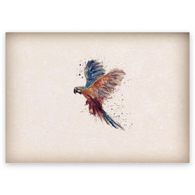 Поздравительная открытка с принтом Parrot 1 в Петрозаводске, 100% бумага | плотность бумаги 280 г/м2, матовая, на обратной стороне линовка и место для марки
 | art | parrot | арт | попугай