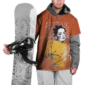 Накидка на куртку 3D с принтом  Bjork в Петрозаводске, 100% полиэстер |  | bjork | homogenic | music | pitchfork | utopia | vulnicura | бьорк