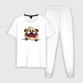 Мужская пижама хлопок с принтом Мопс в Петрозаводске, 100% хлопок | брюки и футболка прямого кроя, без карманов, на брюках мягкая резинка на поясе и по низу штанин
 | pug | милые создания | мопс | пес | рисунок | собака | собачка | щенок | щенок мопс