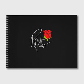 Альбом для рисования с принтом PAYTON MOORMEIER в Петрозаводске, 100% бумага
 | матовая бумага, плотность 200 мг. | flower | payton moormeier | roses | tiktok | блогер | пейтон | пейтон моормиер | розы | тикток | тиктокер | цветы | ютубер