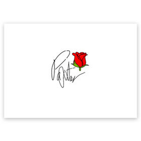 Поздравительная открытка с принтом PAYTON MOORMEIER в Петрозаводске, 100% бумага | плотность бумаги 280 г/м2, матовая, на обратной стороне линовка и место для марки
 | flower | payton moormeier | roses | tiktok | блогер | пейтон | пейтон моормиер | розы | тикток | тиктокер | цветы | ютубер
