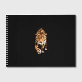 Альбом для рисования с принтом Ягуар в Петрозаводске, 100% бумага
 | матовая бумага, плотность 200 мг. | Тематика изображения на принте: animal | art | black | cat | hunter | jaguar | leopard | арт | гепард | голова | животное | животные | зверь | клыки | кот | кошка | леопард | охотник | темнота | хищник | ягуар