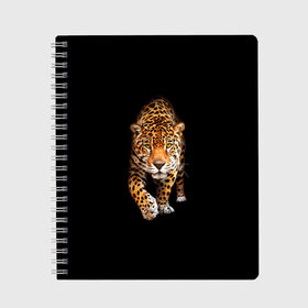 Тетрадь с принтом Ягуар в Петрозаводске, 100% бумага | 48 листов, плотность листов — 60 г/м2, плотность картонной обложки — 250 г/м2. Листы скреплены сбоку удобной пружинной спиралью. Уголки страниц и обложки скругленные. Цвет линий — светло-серый
 | Тематика изображения на принте: animal | art | black | cat | hunter | jaguar | leopard | арт | гепард | голова | животное | животные | зверь | клыки | кот | кошка | леопард | охотник | темнота | хищник | ягуар