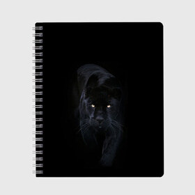 Тетрадь с принтом Пантера в Петрозаводске, 100% бумага | 48 листов, плотность листов — 60 г/м2, плотность картонной обложки — 250 г/м2. Листы скреплены сбоку удобной пружинной спиралью. Уголки страниц и обложки скругленные. Цвет линий — светло-серый
 | Тематика изображения на принте: animal | animals | beast | black | cat | kitten | phanter | животное | животные | зверек | зверь | кот | котики | кошка | кошки | пантера | черная