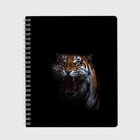 Тетрадь с принтом Тигр в Петрозаводске, 100% бумага | 48 листов, плотность листов — 60 г/м2, плотность картонной обложки — 250 г/м2. Листы скреплены сбоку удобной пружинной спиралью. Уголки страниц и обложки скругленные. Цвет линий — светло-серый
 | Тематика изображения на принте: animal | animals | beast | black | cat | kitten | tiger | животное | животные | зверек | зверь | кот | котики | кошка | кошки | тигр | черная