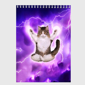 Скетчбук с принтом Повелитель Молний Котэ в Петрозаводске, 100% бумага
 | 48 листов, плотность листов — 100 г/м2, плотность картонной обложки — 250 г/м2. Листы скреплены сверху удобной пружинной спиралью | cat | cats | kitten | kitty | memes | nice | punk | rain | yoga | грозы | дождь | йога | кот | котик | котики | котэ | кошка | медитация | мем | мемы | милая | милый | молнии | панк | приколы | рок | рэп | трэш