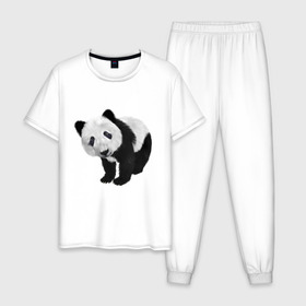 Мужская пижама хлопок с принтом Панда в Петрозаводске, 100% хлопок | брюки и футболка прямого кроя, без карманов, на брюках мягкая резинка на поясе и по низу штанин
 | животное | медведь | панда | пушистый | черно белое