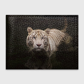 Обложка для студенческого билета с принтом Белый тигр в Петрозаводске, натуральная кожа | Размер: 11*8 см; Печать на всей внешней стороне | Тематика изображения на принте: белые | белый | животное | животные | звери | зверушка | зверушки | зверь | зверьё | кот | котик | котики | коты | кошка | кошки | полосатые | полосатый | природа | тигр | тигры | хищник | хищники