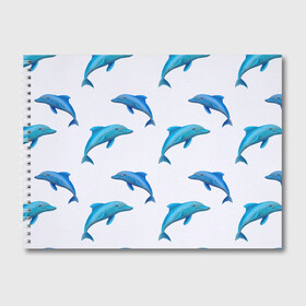 Альбом для рисования с принтом Рай для дельфина в Петрозаводске, 100% бумага
 | матовая бумага, плотность 200 мг. | арт | дельфин | дельфины | искусство | морское | океан | паттерн | рыба | рыбы