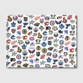Альбом для рисования с принтом Логотипы НХЛ в Петрозаводске, 100% бумага
 | матовая бумага, плотность 200 мг. | Тематика изображения на принте: capitals | nhl | penguins | pittsburgh | washington | блюз | бостон | брюинз | вашингтон | детройт | кэпиталз | логотипы нхл | нью йорк | пингвинз | питтсбург | рейнджерс | сан хосе шаркс | сент луис | тампа бэй
