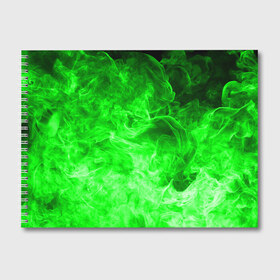 Альбом для рисования с принтом ОГОНЬ GREEN NEON в Петрозаводске, 100% бумага
 | матовая бумага, плотность 200 мг. | Тематика изображения на принте: битва огней | зеленый | неон | неоновый | огонь | пламя | пожар | салатовый | стихия | текстура | цветной | яркий