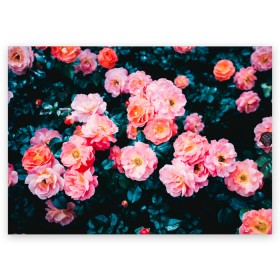 Поздравительная открытка с принтом Dark flowers в Петрозаводске, 100% бумага | плотность бумаги 280 г/м2, матовая, на обратной стороне линовка и место для марки
 | dark | flowers | leaves | roses | весна | лепестки | розы | сад | цветы