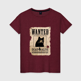 Женская футболка хлопок с принтом Кот в Петрозаводске, 100% хлопок | прямой крой, круглый вырез горловины, длина до линии бедер, слегка спущенное плечо | cat | wanted | живым или мертвым | кот | кот шредингера | котэ | опасен | разыскивается | чёрный кот