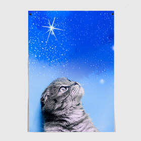 Постер с принтом Кот и космос в Петрозаводске, 100% бумага
 | бумага, плотность 150 мг. Матовая, но за счет высокого коэффициента гладкости имеет небольшой блеск и дает на свету блики, но в отличии от глянцевой бумаги не покрыта лаком | cat | cat and space | kitty | в космосе | звездное небо | звёзды | космический кот | кот | кот в космосе | кот и звезды | кот смотрит | кот смотрит на небо | котенок | котик | кошка