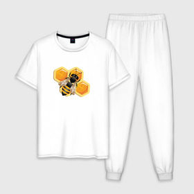 Мужская пижама хлопок с принтом Пчела на соте в Петрозаводске, 100% хлопок | брюки и футболка прямого кроя, без карманов, на брюках мягкая резинка на поясе и по низу штанин
 | животные | жужу | мед | насекомое | насекомые | пчела | пчеловод | пчелы | сота | соты