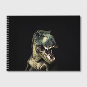 Альбом для рисования с принтом Динозавр T-Rex в Петрозаводске, 100% бумага
 | матовая бумага, плотность 200 мг. | Тематика изображения на принте: dino | dinosauria | t rex | ti rex | дино | динозавр | парк юрского | т рекс | ти рекс | чудовище | юрский период | ящер | ящерица
