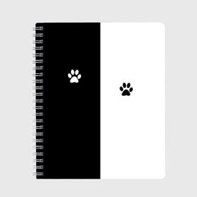 Тетрадь с принтом Кошачьи следы в Петрозаводске, 100% бумага | 48 листов, плотность листов — 60 г/м2, плотность картонной обложки — 250 г/м2. Листы скреплены сбоку удобной пружинной спиралью. Уголки страниц и обложки скругленные. Цвет линий — светло-серый
 | black and white | cat | животные | кот | кошачий след | кошка | половина | черно белый | чёрный и белый